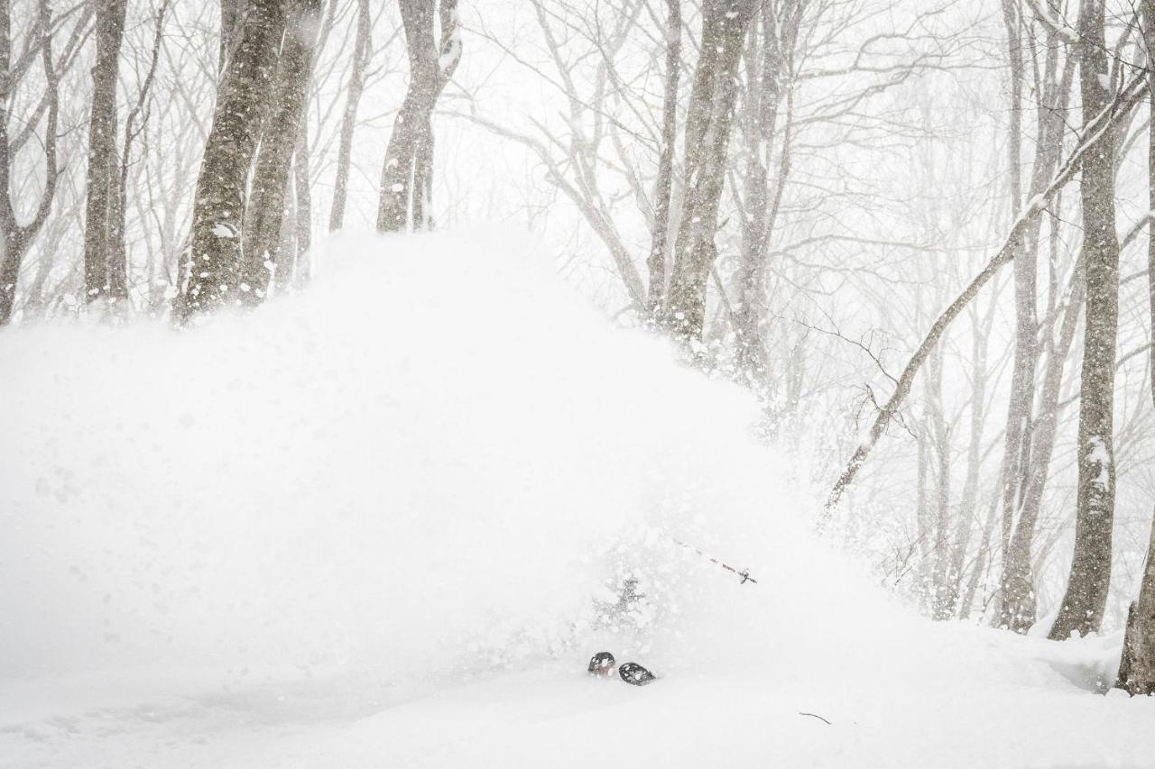 Ha-Mon Slope Side Hotel And Private Chalet 小谷村 エクステリア 写真