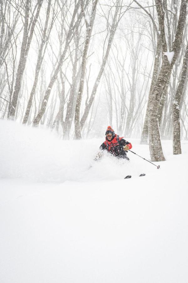 Ha-Mon Slope Side Hotel And Private Chalet 小谷村 エクステリア 写真